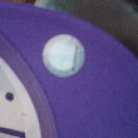 Hornets - Picture 6 of 6